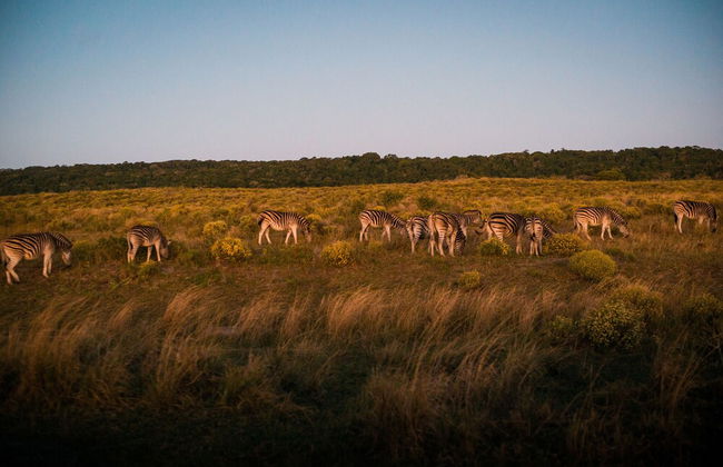 Pelican s Nest Holiday Home St Lucia - Photo 35