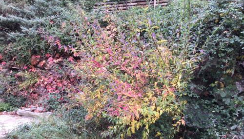 Mas Graffouil - Foto 5