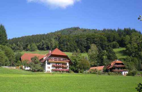 Geigerbauernhof - Foto 1