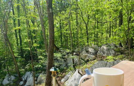 Enchanting Cottage In The Woods - Foto 15