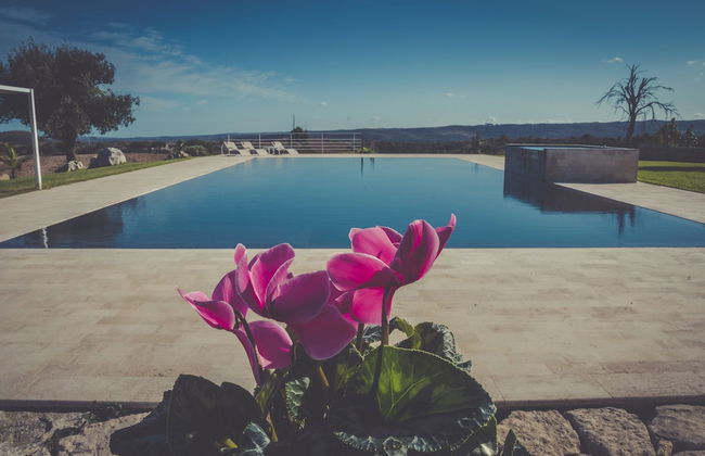 La Mela di Venere - Foto 21