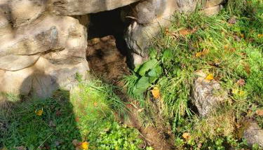 Las Tejeruelas Casa Rural - Foto 5