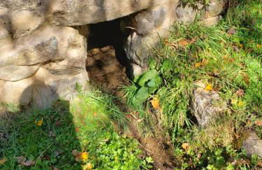 Las Tejeruelas Casa Rural - Foto 5