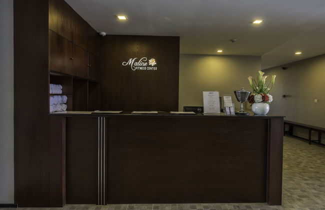 Maline Exclusive Serviced Apartments - Photo 76