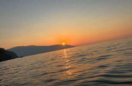 Villa Giulia - Foto 12