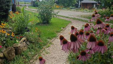 Siedlisko nad Stawem - Foto 3, Garden, Garden view