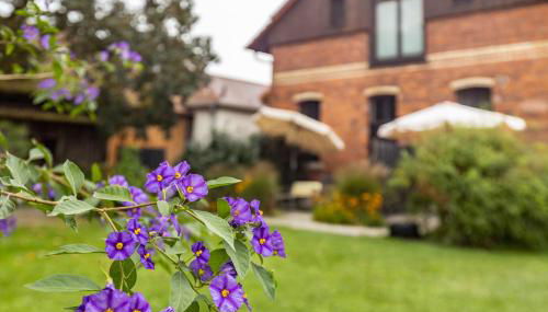 Die Ferienwohnung - Foto 2