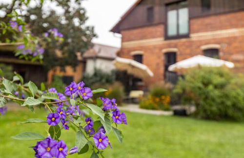 Die Ferienwohnung - Foto 2