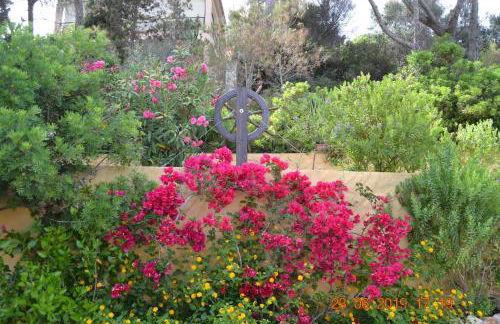 Appartamenti al mare - Foto 24