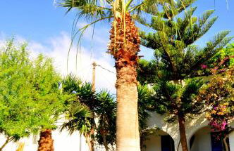 Nikoleta's Studios - Photo 31