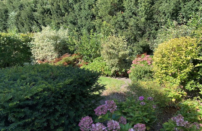 Europarcs Koningshof - Foto 11