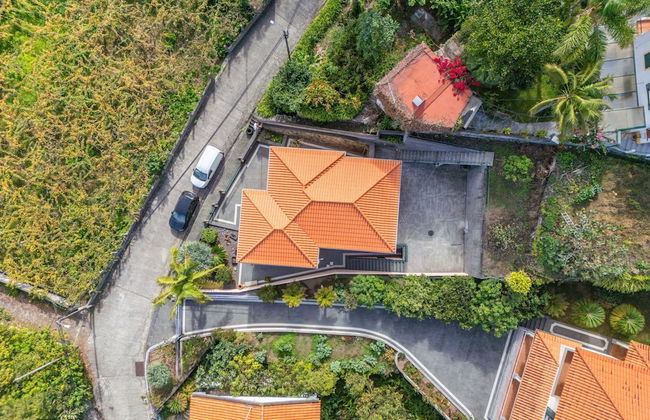 Palm Tree House by Madeira Sun Travel - Foto 26