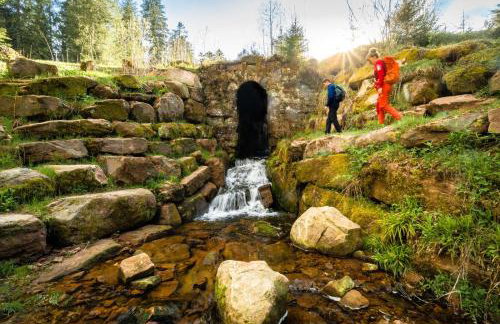 Haus Hubertus - Photo 19