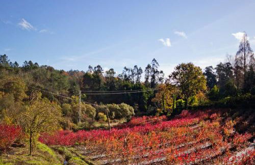 Quinta de Mourães Casa dos Rododendros - Foto 76