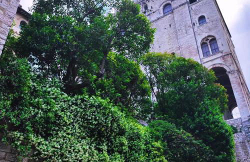 Locazione Gattapone 3 all'angoletto - Foto 32