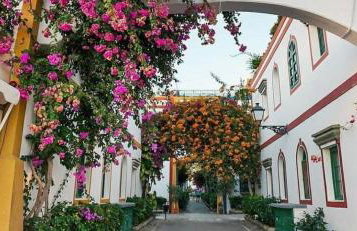 Casa Norb Teror - Foto 41