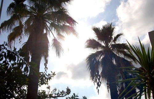 Il Giardino del sole - Foto 116