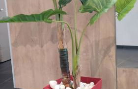 ESCAL'HOME appart design au pied de l'aéroport, parkings - Foto 37