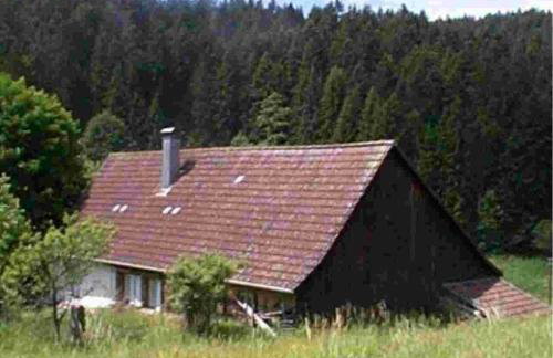 Ferienhaus Schwarzwald Seewald Erzgrube Badesee 100% Natur - Foto 10