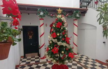 La Alboreá - Foto 54