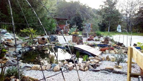 Chão da Lousa - Foto 2, Garden