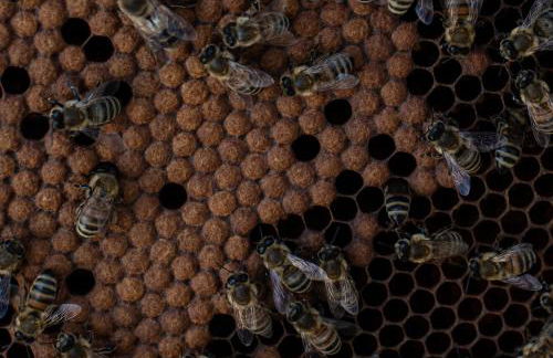 Agriturismo da Natalino - Foto 72