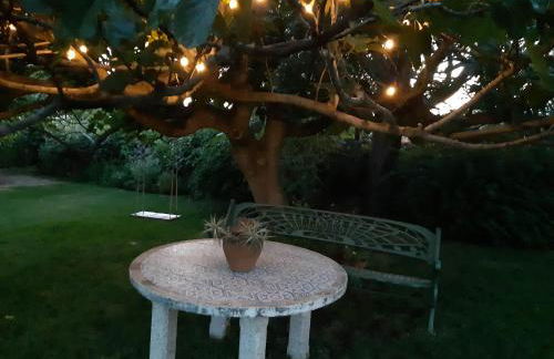 La Celestina - Foto 10