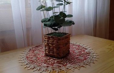 Siedlisko Sielska Dolina Nad Stawem luksusowy domek całoroczny z klimatyzacją - Foto 31