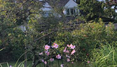Ramblers, Burley, New Forest - Foto 3, Garden, Garden view