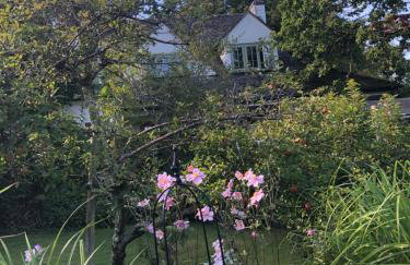 Ramblers, Burley, New Forest - Photo 3