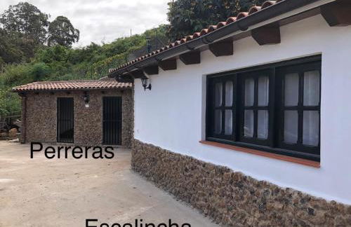 La Bodega de Julián - Photo 44