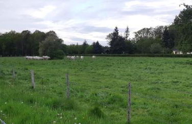 La Champêtre - Foto 15