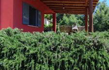 La Casetta sul Lago - Foto 22