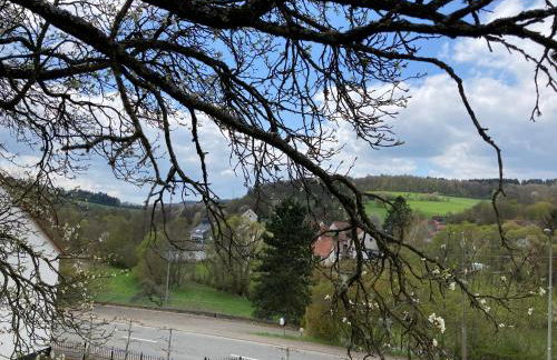 Luxe, landelijke vakantiewoning der alte Birnenbaum Duitsland-Sankt Wendel - Foto 54