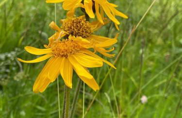 Thüringer Wald-Zauber - Foto 33