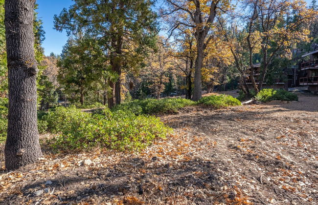 Cozy Corner Yosemite Studio Close to it All! - Foto 28
