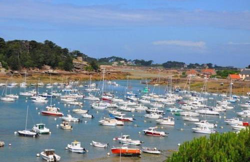 Studio 2 personnes VUE SUR MER au Port de Ploumanac'h PERROS-GUIREC - Réf 877 - Foto 11