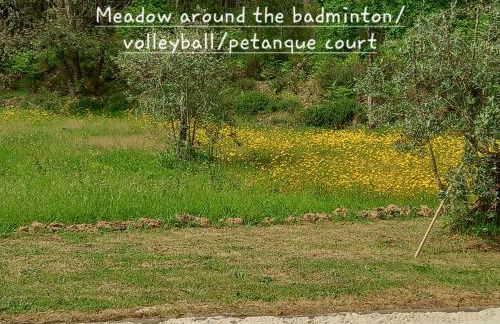 Villa Tranquilla apartment - Foto 46