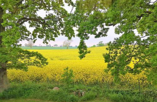 Taubennest - Foto 35