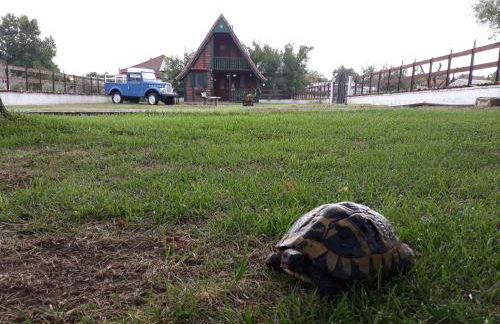 Traditional Guesthouse - Foto 43