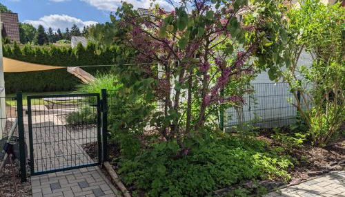 Ferienhaus Lindelburg - Foto 3, Garden