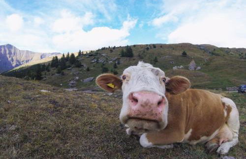 San Marco FARMHOUSE with a view. - Photo 50