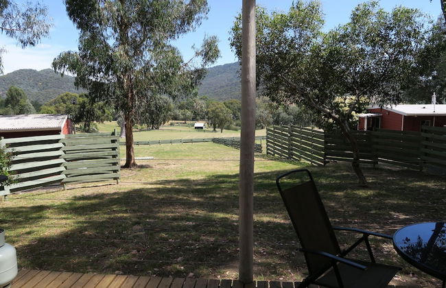 The Black Sparrow - Photo 67