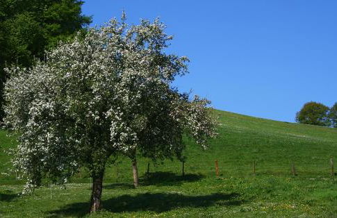 Haus Berghoff - Foto 12