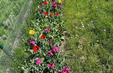 Casa CampoSelvatico - Foto 45