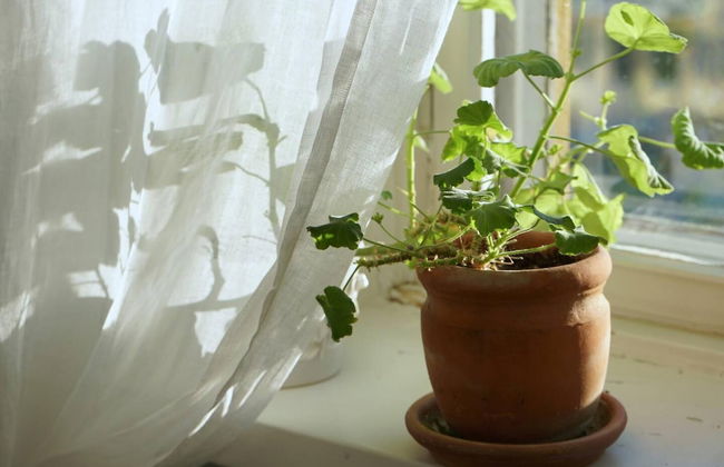 Cosy Quiet Apartment Close to the Sea and Parks - Foto 22