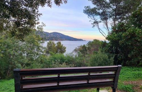 La Pinède - T4 avec terrasse et piscine - Foto 17