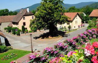 Gite le GINKGO 50 M2 - Foto 48