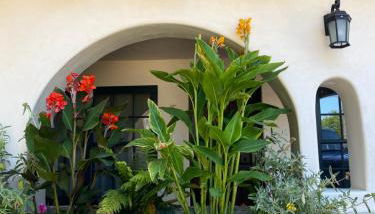 Tide Pool Villas - Photo 2