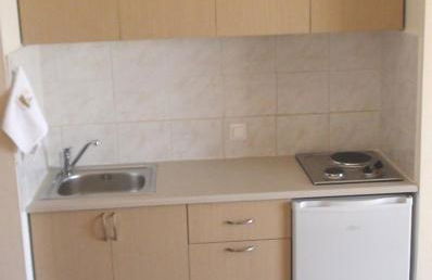 Dinos Green Place - Photo 38